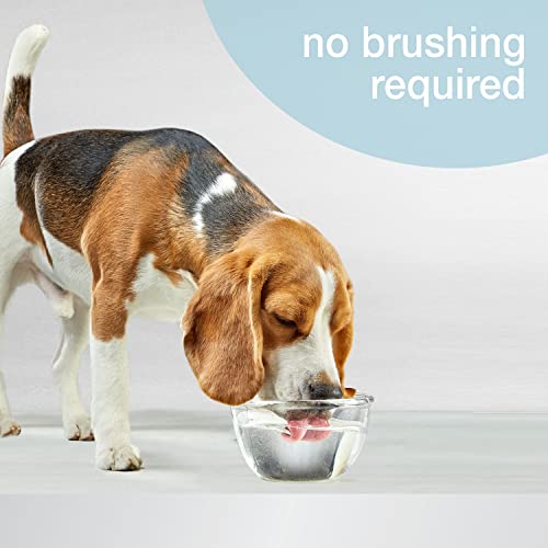 Nylabone Advanced Oral Care Dog Water Additive for Dental Care, 32 oz. F2667