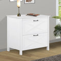 Saint Birch Liam Wood White 2-Drawer File Cabinet