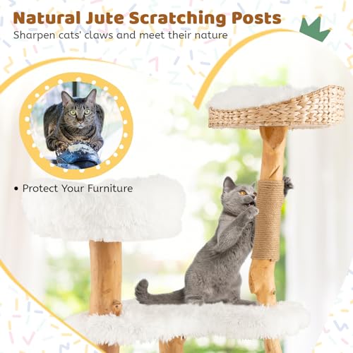 Tangkula Cat Tree for Indoor Cats, Solid Wood with Scratching Posts, 34 Inch Q6529