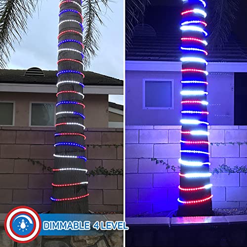 Russell Decor LED Rope Lights Red White Blue 30ft with Remote Control C9460
