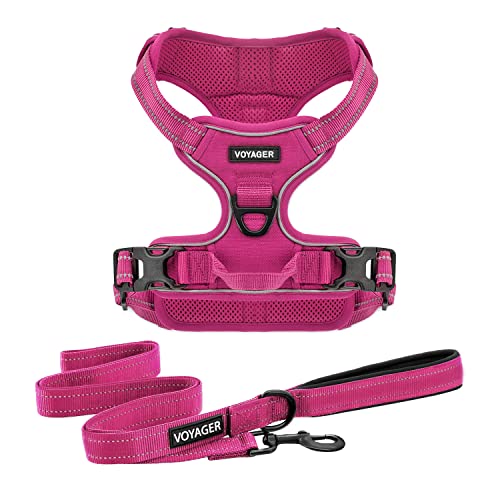 Voyager Dog Harness Dual Leash Attachment No-Pull Control Adjustable Soft but Strong Pet Harness for Medium and Large Dogs with 3M Reflective Technology - Purple Lattice, XS (Chest: 13 - 16")
