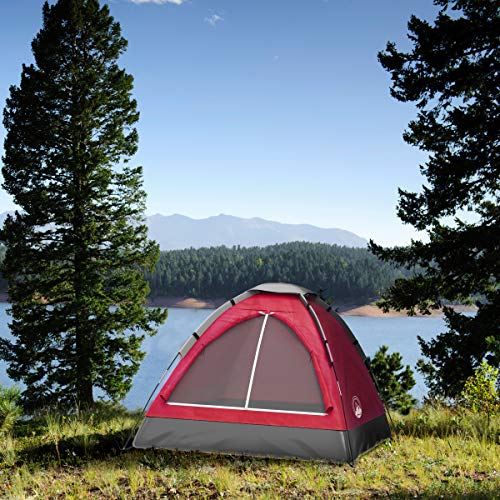 2-Person Dome Tent with Rain Fly and Carrying Bag D783158