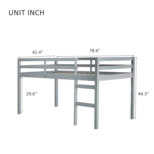 Twin Size Low Loft Bed with Ladder and Safety Guardrail, Solid Wood, White D5235
