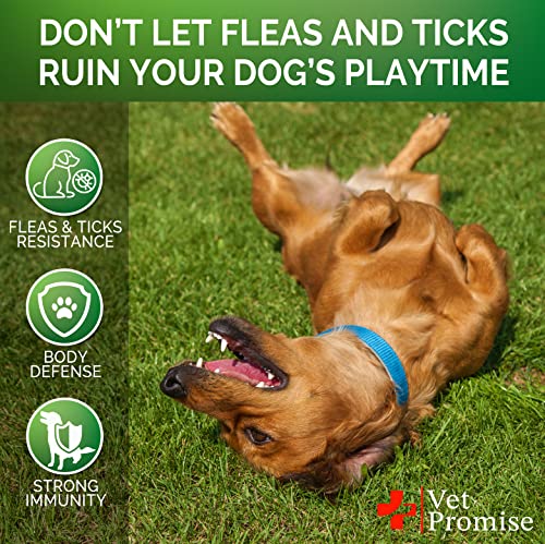 All Natural Flea and Tick Chewables for Dogs - Made in USA - 120 Tablets E29559