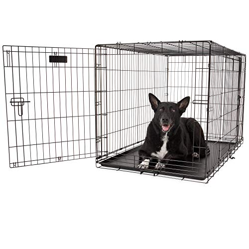 Precision Pet Products Two Door Wire Dog Crate, 48 Inch A83343