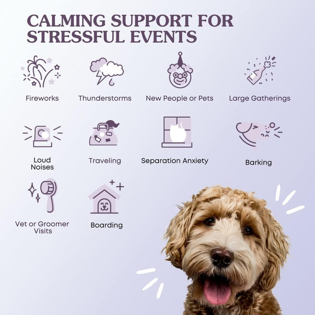 Fera Pets Calming Supplement for Dogs & Cats, Vet Created, GABA & Ashwagandha, 60 Scoops W32394