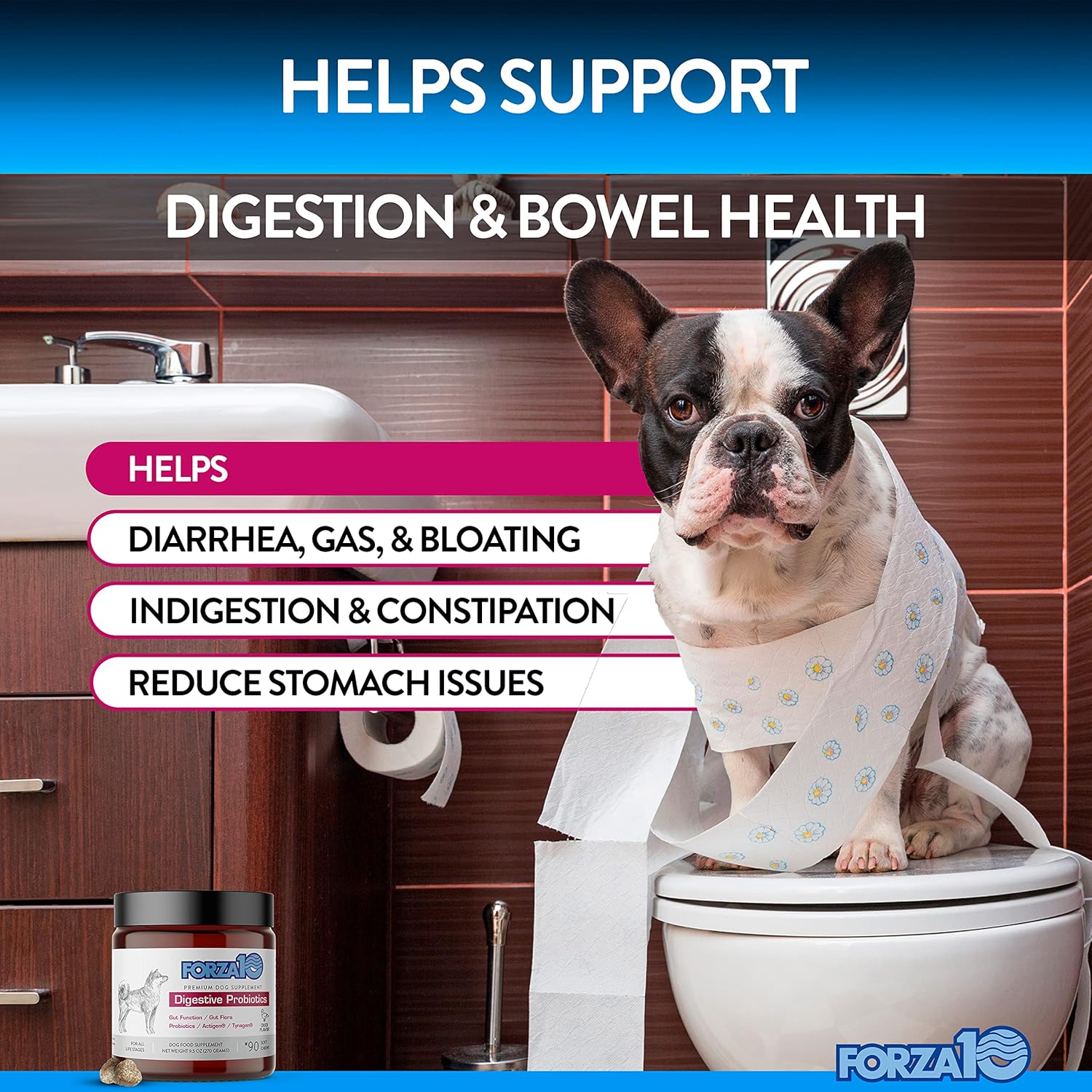 Forza10 Dog Probiotics and Digestive Enzymes Chews, Duck Flavor, 90 Ct. I761261