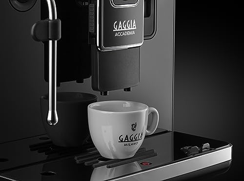 Gaggia Accademia Luxury Italian Fully Automatic Espresso Machine, Brushed Stainless G741
