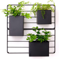 KASSELL Vertical Garden Wall Planter. Wall Mounted for Indoor/Outdoor. All Metal Black Vertical Planter with No Assembly Required. for Flowers, Herbs, Succulents and Plants