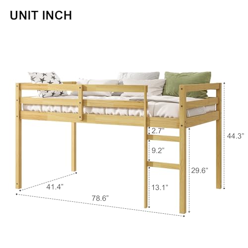 Twin Size Low Loft Bed with Ladder and Safety Guardrail, Solid Wood, White D5235