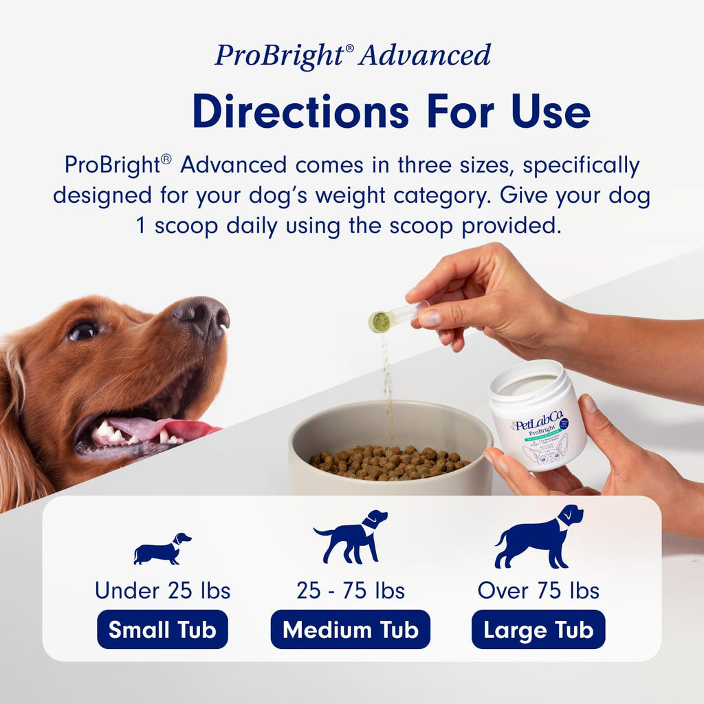 PetLab Co. Gut & Breath Bundle Dental Powder & Probiotics for Large Dogs Z749770
