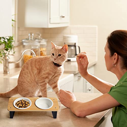 Elevated Cat Food Bowl with Bamboo Stand, 15° Tilted Ceramic Cat Bowl N660