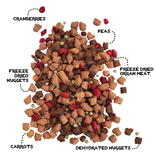 Simple Food Project Freeze Dried Raw Dog Food Topper 16 Organic Human Grade Ingredients 3 Pack A546930