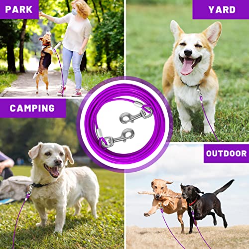 Purple Steel Dog Tie Out Cable for Yard, Large Dogs Up to 165 lbs H41696