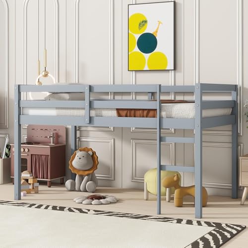 Twin Size Low Loft Bed with Ladder and Safety Guardrail, Solid Wood, White D5235