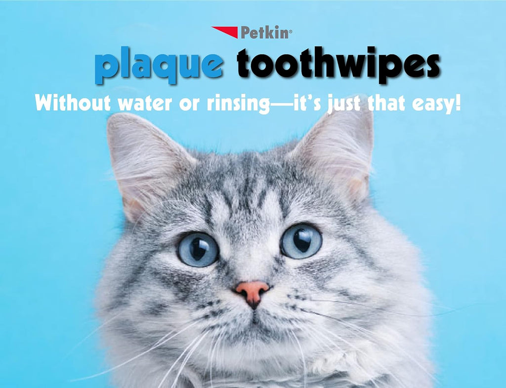 Petkin Cat and Dog Dental Wipes, Fresh Mint, 80 Count Y724217