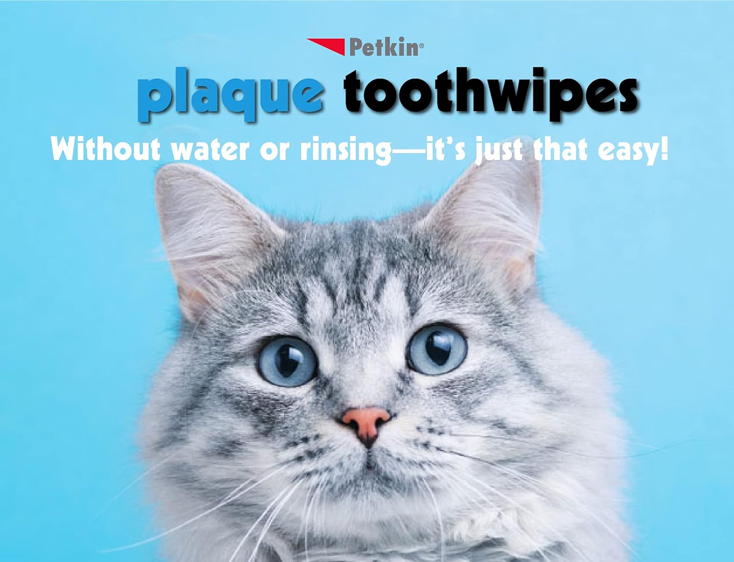 Petkin Cat and Dog Dental Wipes, Fresh Mint, 80 Count Y724217