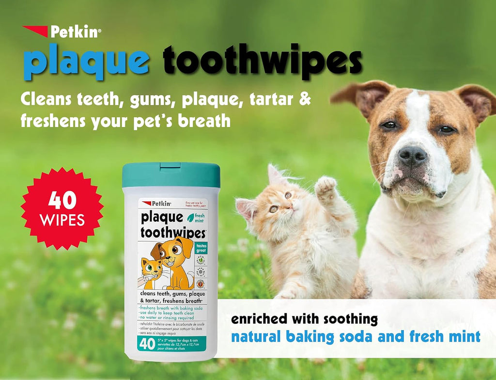 Petkin Cat and Dog Dental Wipes, Fresh Mint, 80 Count Y724217