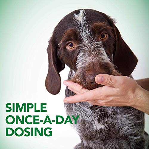 Vet's Best Probiotic Soft Chews Dog Supplement, 90 Day Supply Z925
