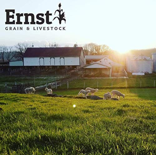 Homestead Harvest Ernst Grain Whole Corn 50 lb U74965