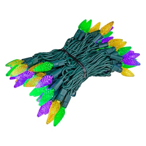 Novelty Lights 24ft 70 LED Purple/Lime Green Halloween String Lights L643884