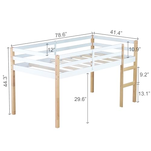 Twin Size Low Loft Bed with Ladder and Safety Guardrail, Solid Wood, White D5235