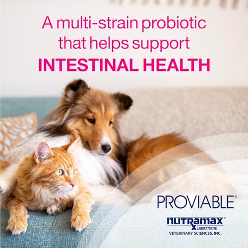 Proviable Multi-Strain Probiotic and Prebiotic Supplement for Cats and Dogs, 80 Capsules V613