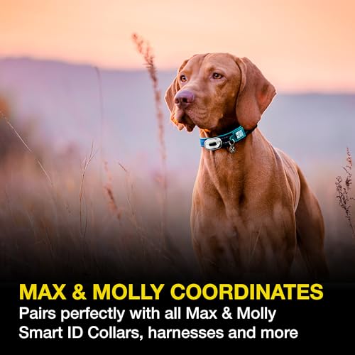Max & Molly Rechargeable LED Dog Collar Light, Waterproof Silicone J519