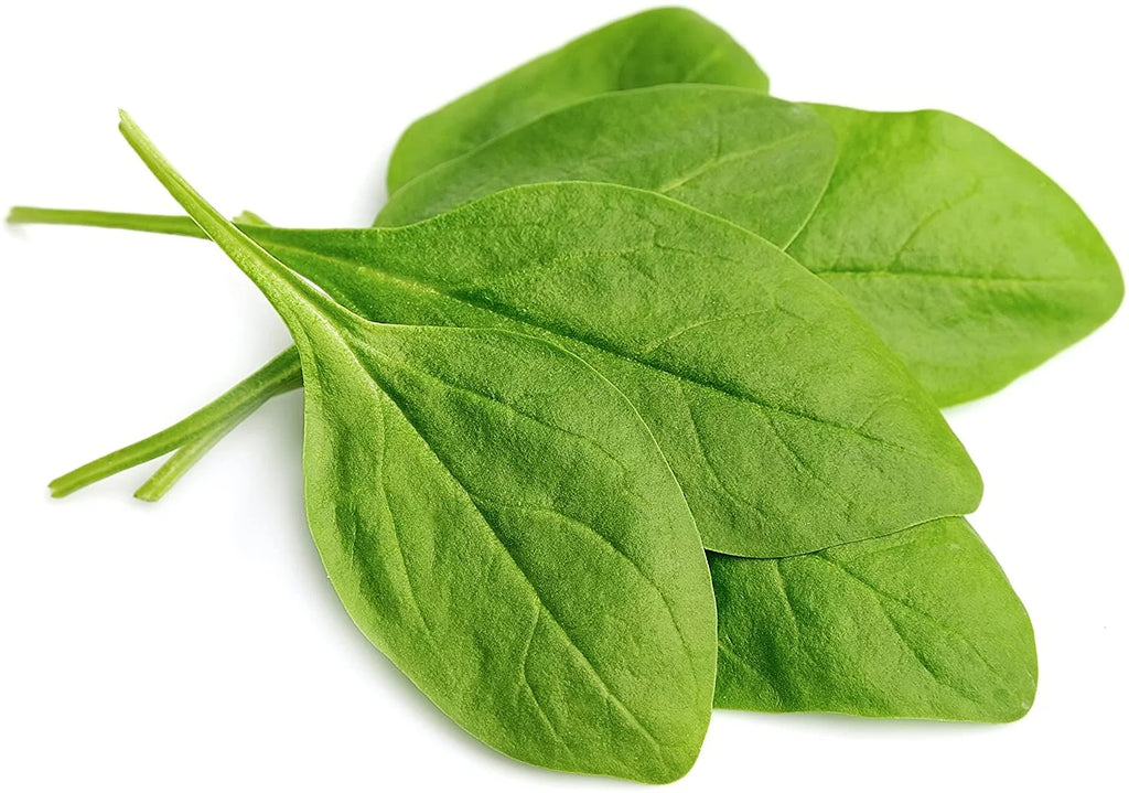 Augason Farms Dehydrated Spinach Flakes 8 oz A90755
