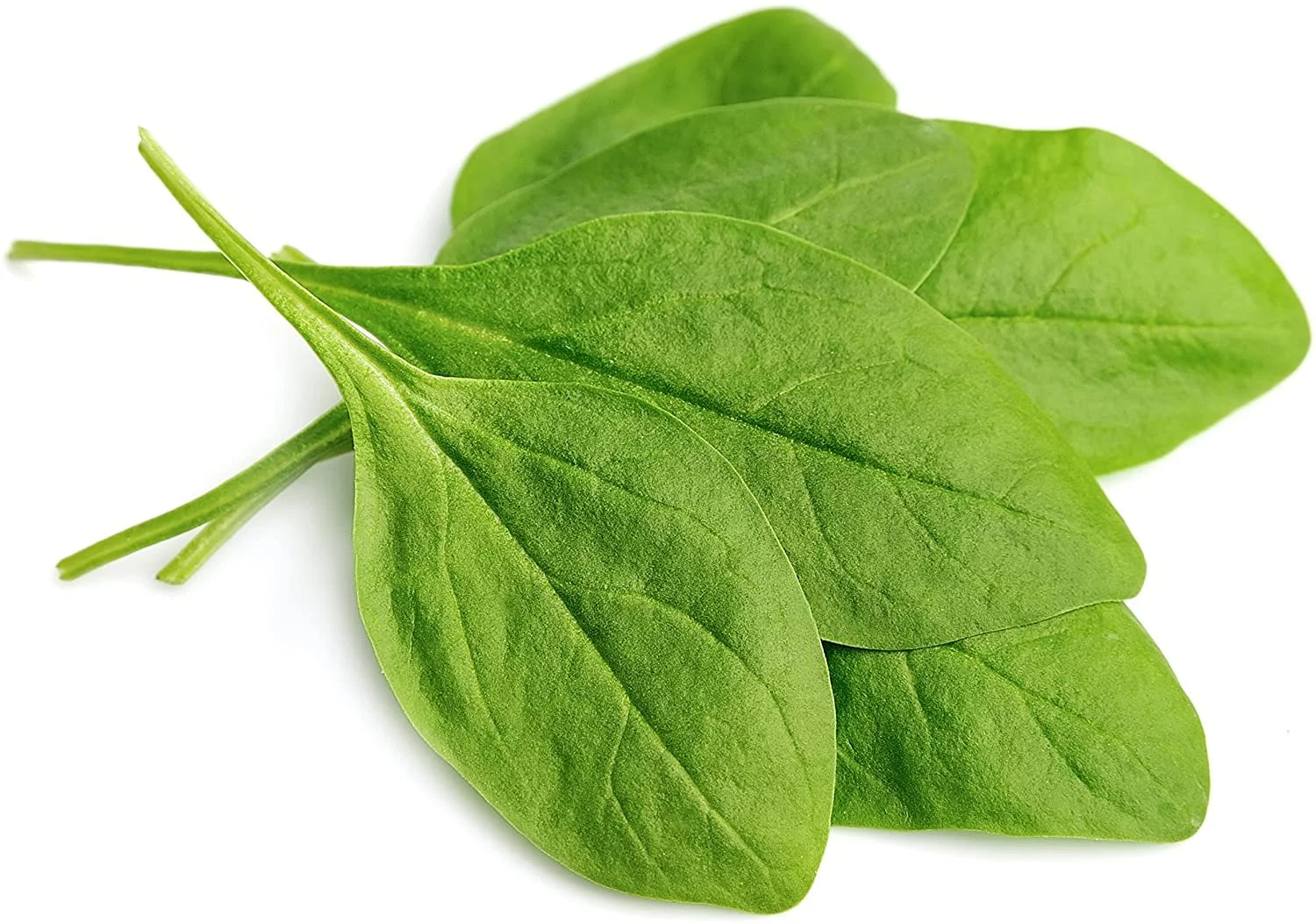 Augason Farms Dehydrated Spinach Flakes 8 oz A90755
