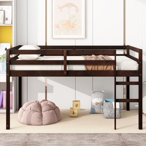 Twin Size Low Loft Bed with Ladder and Safety Guardrail, Solid Wood, White D5235
