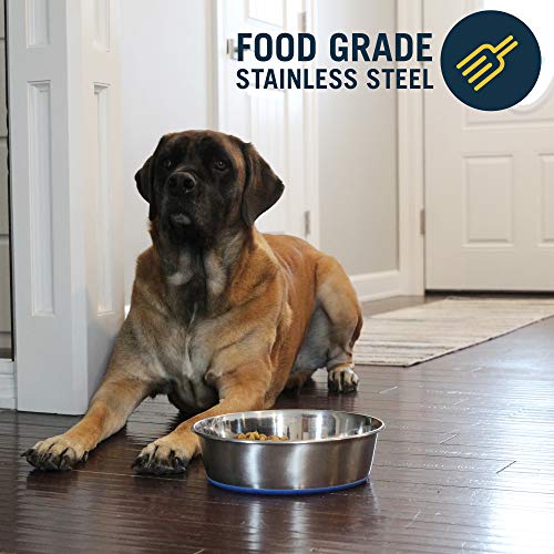 OurPets DuraPet Stainless Steel Dog Bowl, 8 Cup O31142