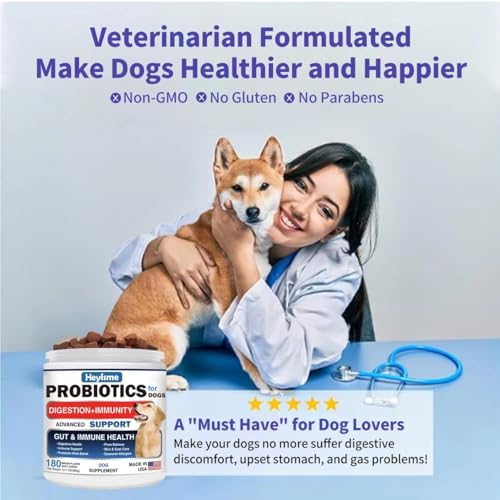 Probiotics for Dogs with Digestive Enzymes - Bacon Flavored Chews U869