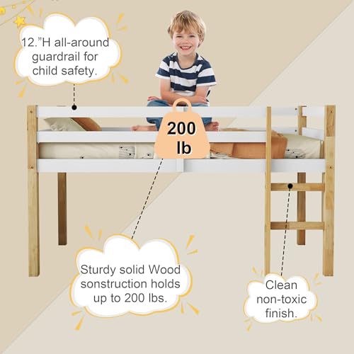 Twin Size Low Loft Bed with Ladder and Safety Guardrail, Solid Wood, White D5235