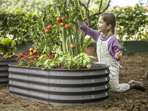 Galvanized Raised Garden Bed 4×2×1 ft Metal Planter Box for Vegetables, Flowers M146044