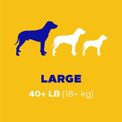 PEDIGREE DENTASTIX Large Dog Dental Treats Original Flavor, 2.08 lb Value Pack M99904