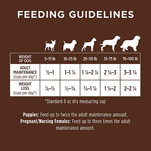 Instinct Original Grain Free Real Rabbit Natural Dry Dog Food, 20 lb. Bag J515456