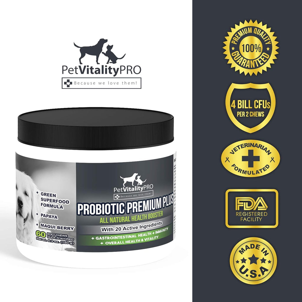 Probiotics for Dogs with Digestive Enzymes, 60 Soft Chews D1330