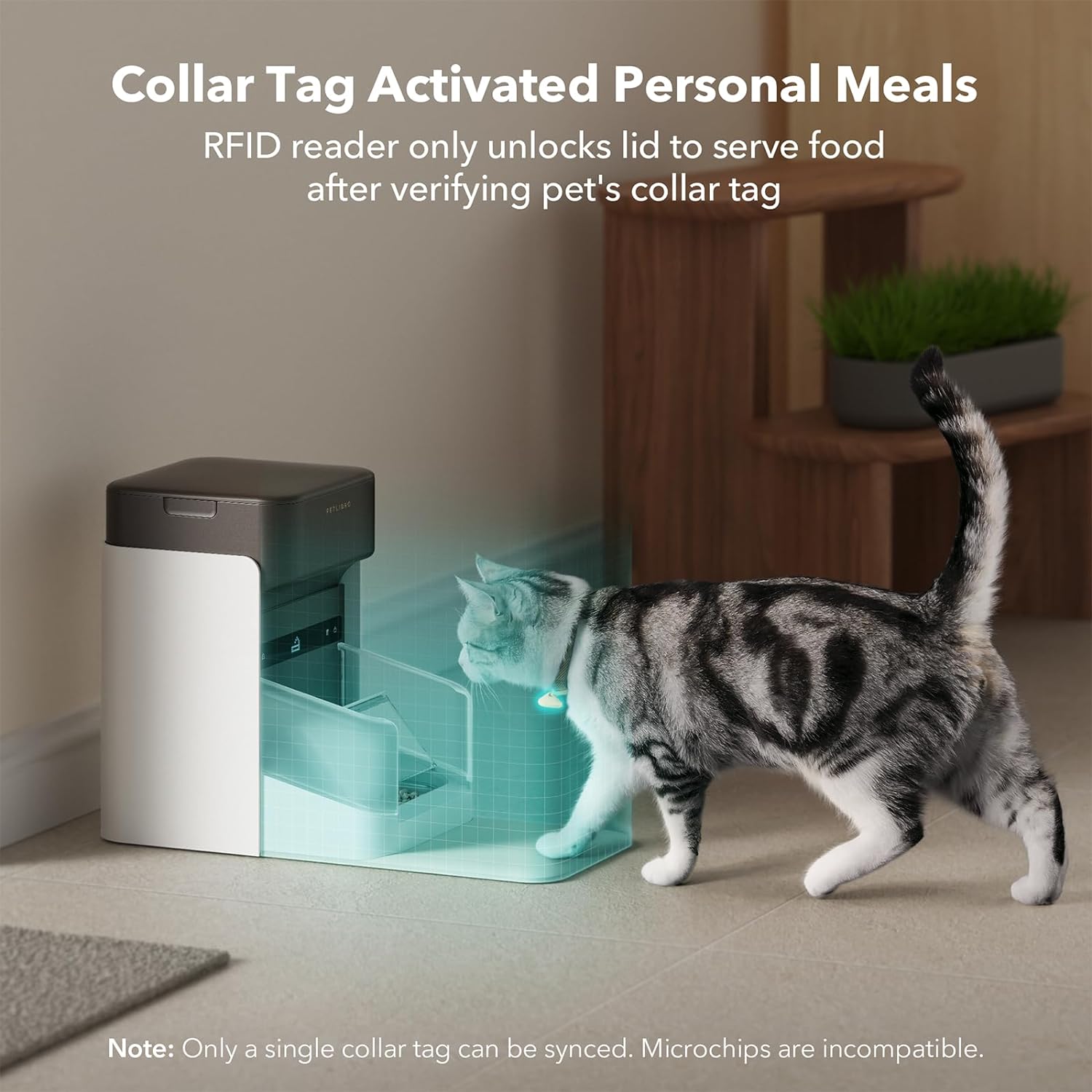PETLIBRO RFID Automatic Cat Feeders 2 Pack, 5G Wi-Fi, 3L with Light Collar Tag T68367