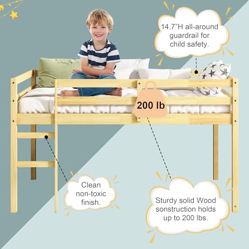 Twin Size Low Loft Bed with Ladder and Safety Guardrail, Solid Wood, White D5235