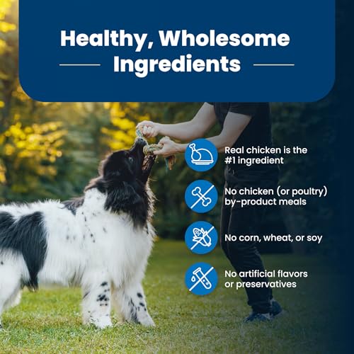 Blue Buffalo Life Protection Natural Adult Dry Dog Food Fish and Brown Rice 15-lb L25102