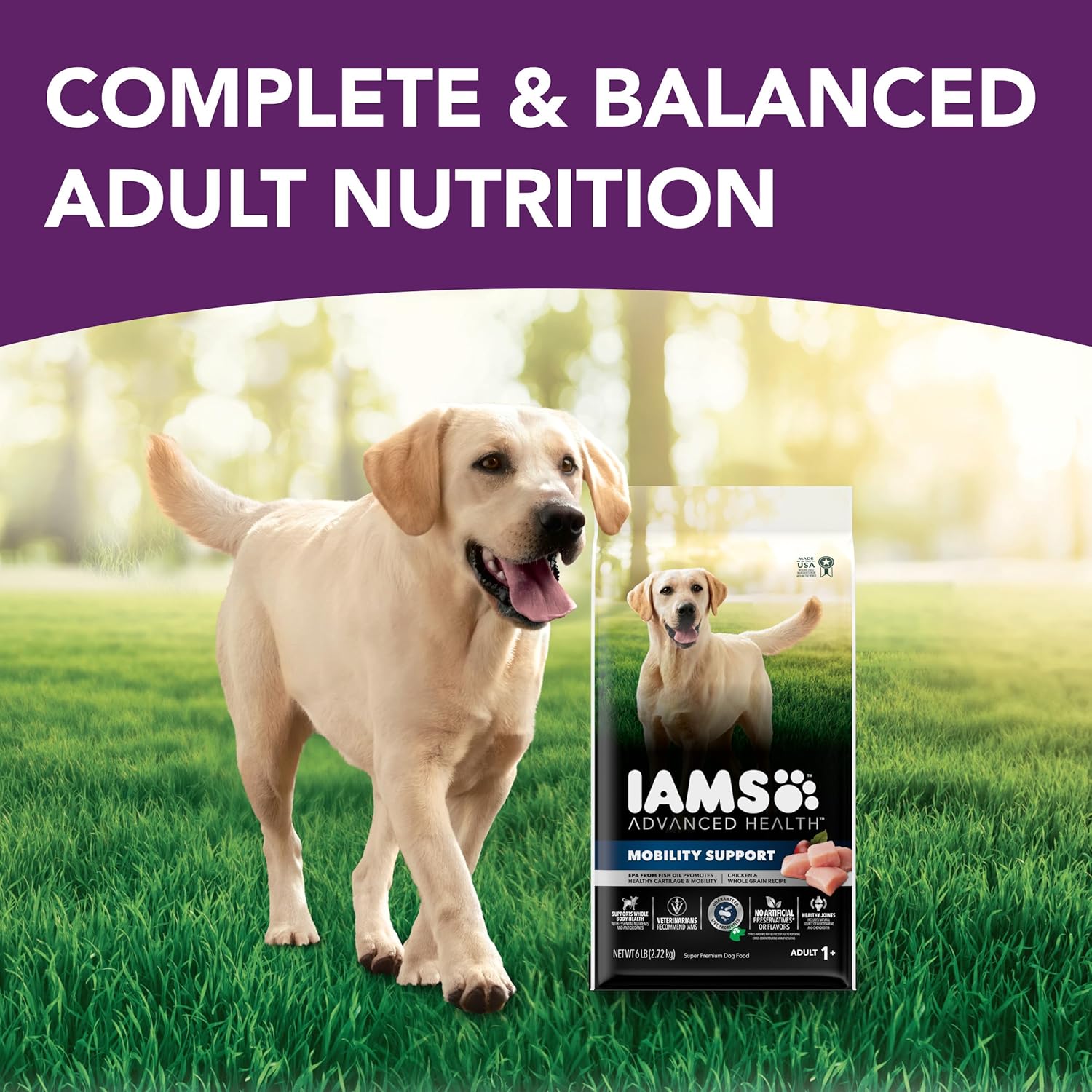 Advanced Health Mobility Support Chicken and Whole Grain Recipe Adult Dry Dog Food, 6 lb. Bag D724