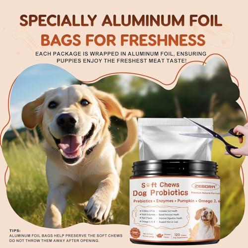 Probiotics for Dogs with Pumpkin & Fish Oil - 120 Soft Chews U723356