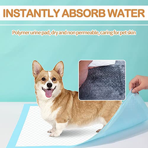 Black Charcoal Dog Puppy Pads 17.7" x 23.6" Quick-Dry, 10 Count H4419