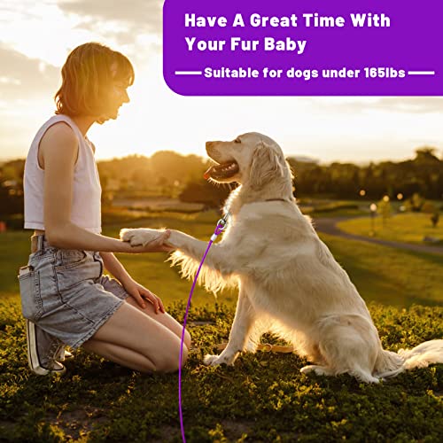 Purple Steel Dog Tie Out Cable for Yard, Large Dogs Up to 165 lbs H41696