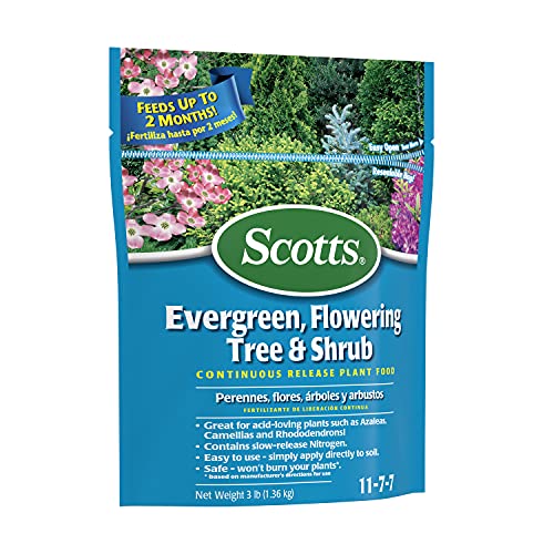 Scotts Evergreen Flowering Tree & Shrub Plant Food 3-Pound U957538
