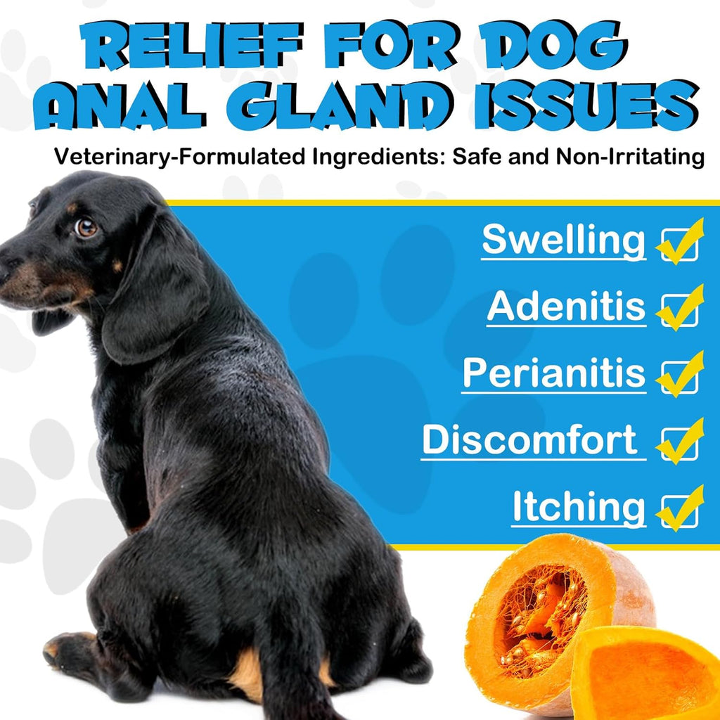 Anal Gland Support Soft Chews for Dogs with Pumpkin, 150 Count H197729