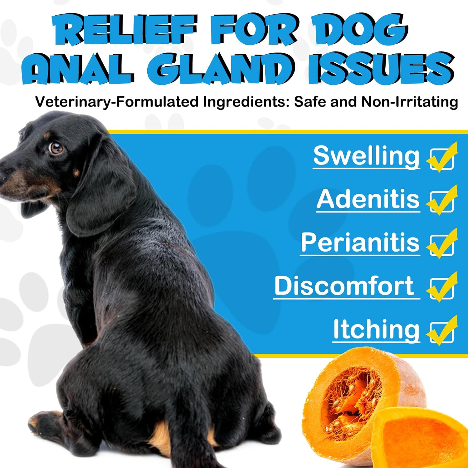 Anal Gland Support Soft Chews for Dogs with Pumpkin, 150 Count H197729