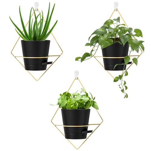 3 sets of 5"Black Hanging Wall Planters for Indoor Plants with Self-Watering, Metal Succulent Wall Planters for Plant, Geometric Wall Pots for Plants Indoor, Wall Mounted Plant Holder for Home Decor