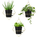 3 sets of 5"Black Hanging Wall Planters for Indoor Plants with Self-Watering, Metal Succulent Wall Planters for Plant, Geometric Wall Pots for Plants Indoor, Wall Mounted Plant Holder for Home Decor